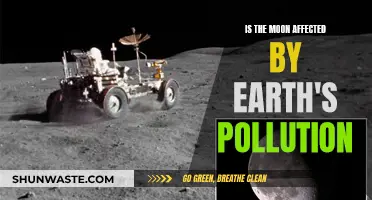 Moon's Calm: Impact of Earth's Pollution?