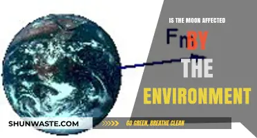 How Earth's Environment Influences the Moon's Surface and Atmosphere