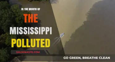 The Troubled Waters of the Mississippi's Mouth