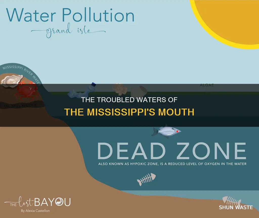is the mouth of the mississippi polluted