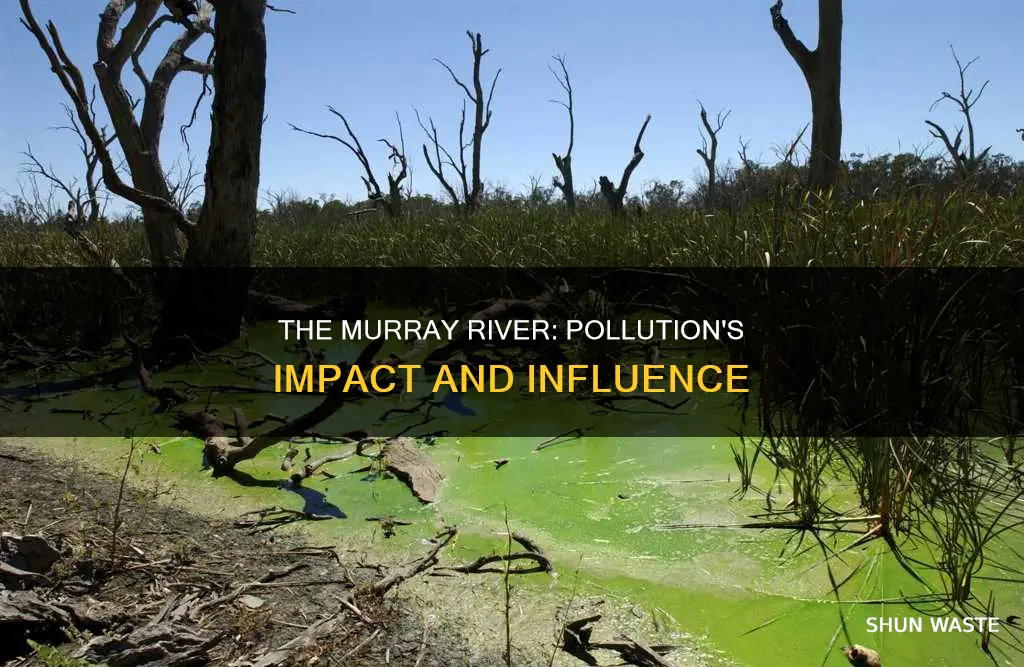 is the murray river affected by pollution