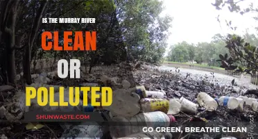 The Murray River's Pollution Problem