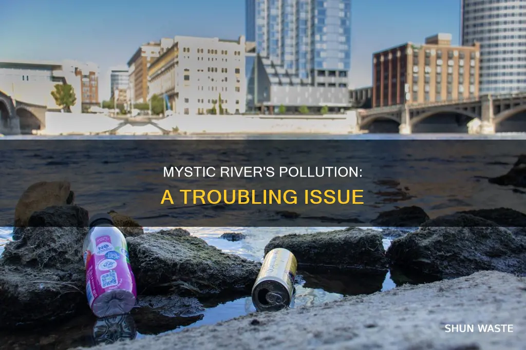 is the mystic river polluted