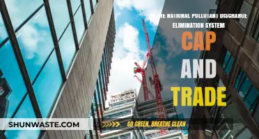 Cap and Trade: A Solution for NPDEs?