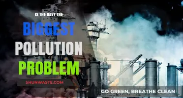 Navy's Pollution Problem: Who's to Blame?