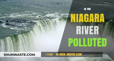 The Niagara River: A Polluted Wonder?