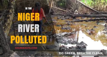 Niger River Pollution: A Growing Concern?