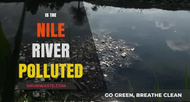 The Nile River: A Polluted Paradise?