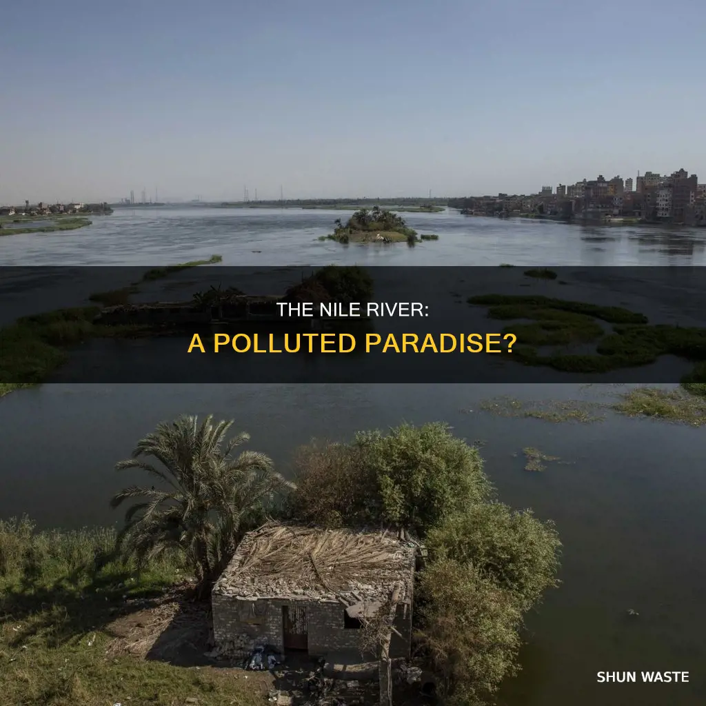 is the nile river polluted