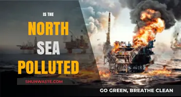 The North Sea Pollution: A Troubling Reality
