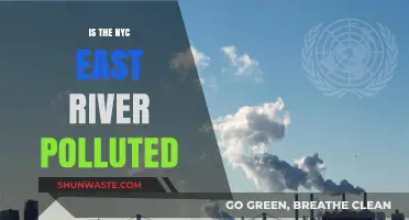 The East River's Pollution Problem