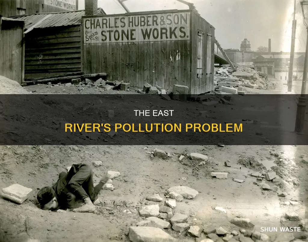 is the nyc east river polluted