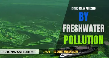 Freshwater Pollution's Impact on Our Oceans