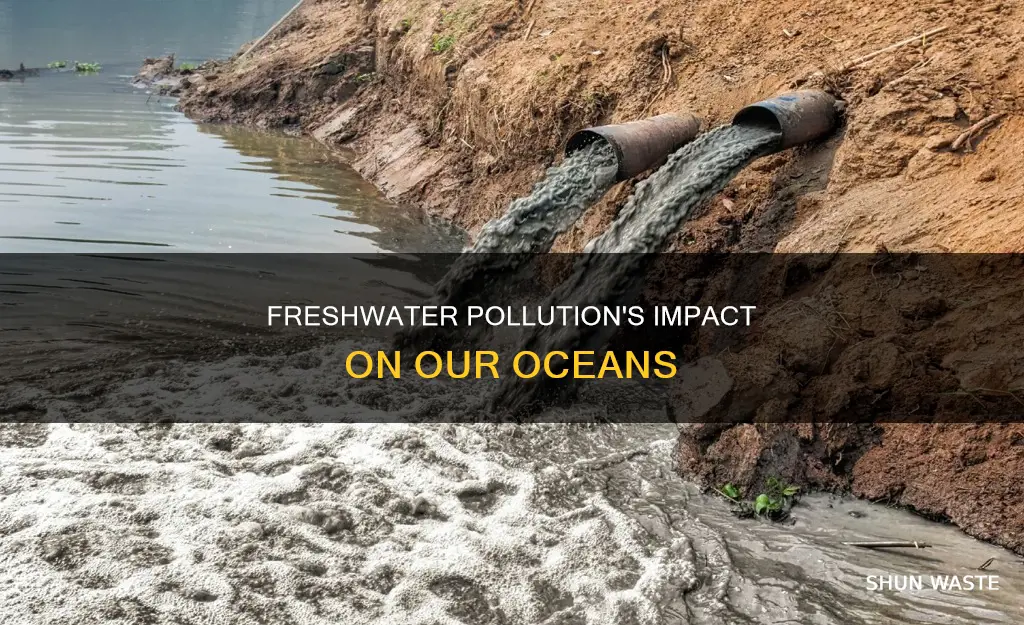 is the ocean affected by freshwater pollution