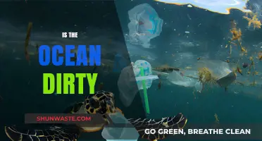 Ocean Pollution: How Dirty Are Our Seas?