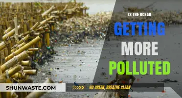 Ocean Pollution: An Ever-Increasing Threat