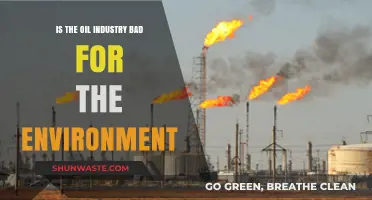 Oil Industry's Environmental Impact: Harmful Effects and Sustainable Alternatives