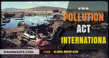 Oil Pollution Act: A Global Reach?