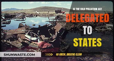The Oil Pollution Act: State Delegated Powers?