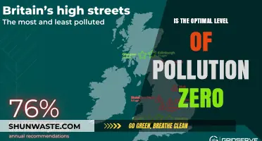Pollution: Can We Aim for Zero?
