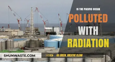 Pacific Ocean Radiation: Is It Polluted?