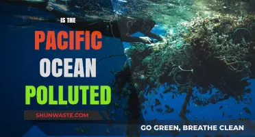 The Pacific Ocean: Polluted Paradise?