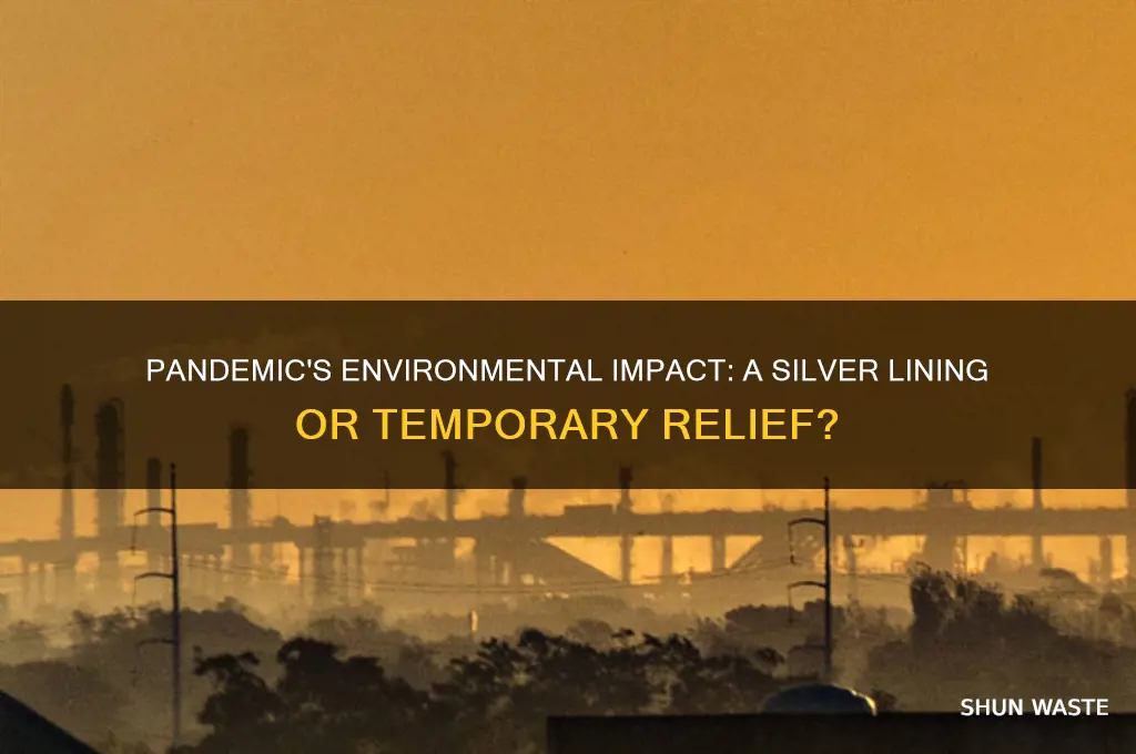 is the pandemic good for the environment