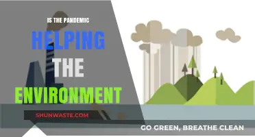 Pandemic's Silver Lining: How COVID-19 is Impacting Our Environment