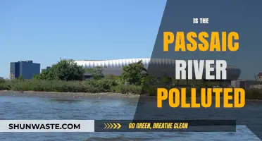 Passaic River Pollution: A Troubling Reality Check