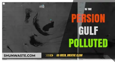 Persian Gulf Pollution: A Troubling Reality