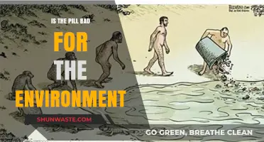 The Environmental Impact of Birth Control Pills: A Hidden Concern?