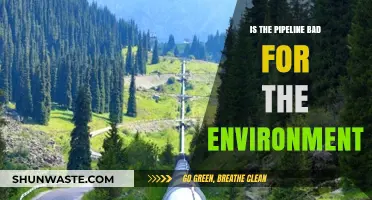 Environmental Impact of Pipelines: Assessing Ecological Risks and Consequences