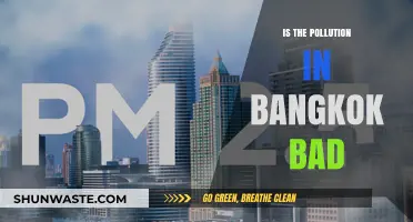 Bangkok's Pollution Problem: How Bad Is It?