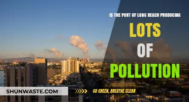 Long Beach Port: A Major Polluter?
