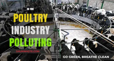 Poultry Industry's Pollution Problem: What's the Truth?