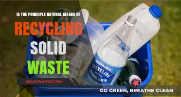 Natural Recycling: How Earth's Processes Manage Solid Waste Efficiently