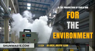Caulk Production: Environmental Impact and Sustainable Alternatives Explored