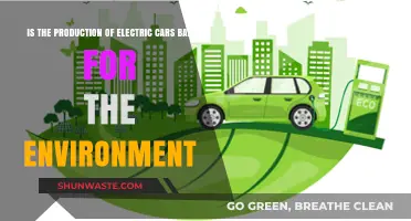 Electric Car Production: Environmental Savior or Hidden Eco-Disaster?