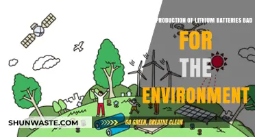 Lithium Battery Production: Environmental Impact and Sustainability Concerns