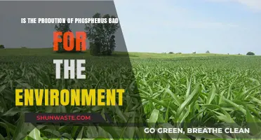 Phosphorus Production: Environmental Impact and Sustainable Solutions Explored