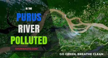 The Purus River: A Polluted Paradise?