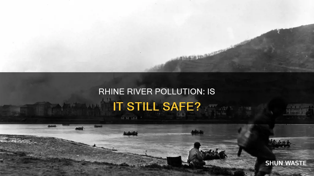 is the rhine river polluted