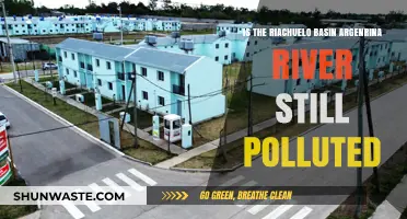 Riachuelo Basin: Argentina's Toxic River Battle