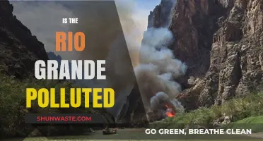 Rio Grande: A Polluted Paradise?