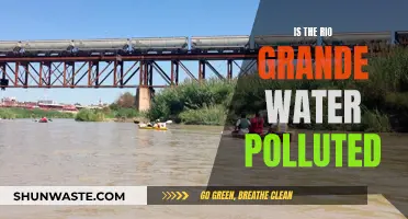 Rio Grande's Water Quality: A Troubling Concern