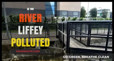 The Liffey's Pollution Problem: Is Dublin's River Clean?