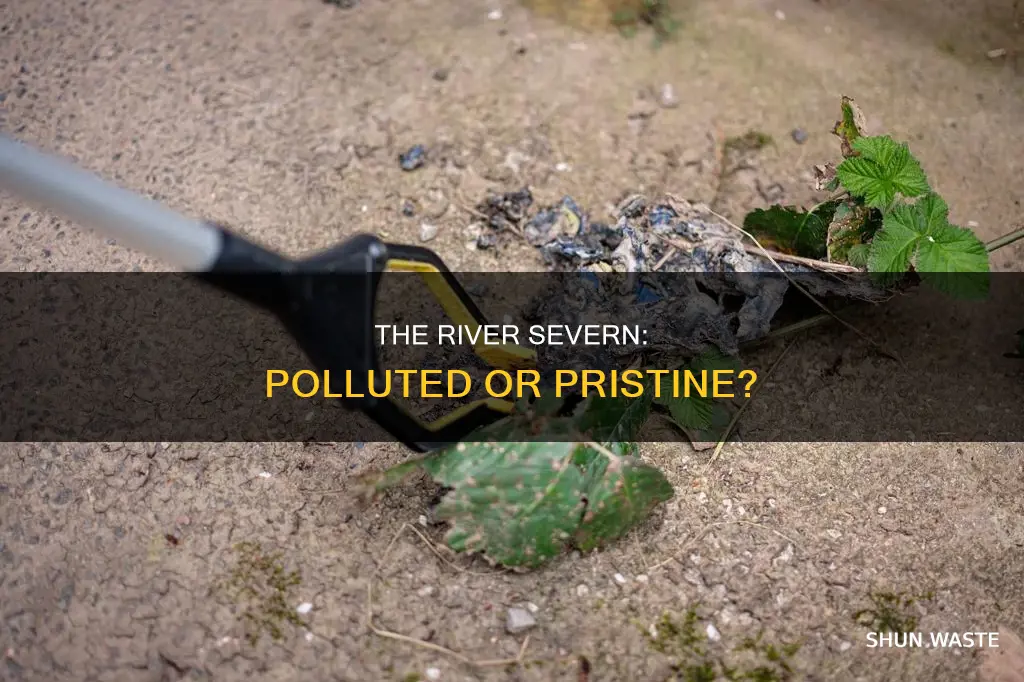 is the river severn polluted
