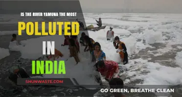 Yamuna: India's Most Polluted River?