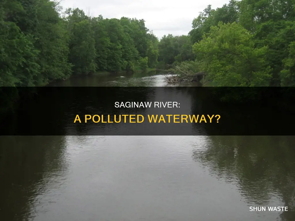 is the saginaw river polluted