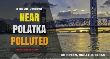Saint John River's Pollution Crisis Near Palatka